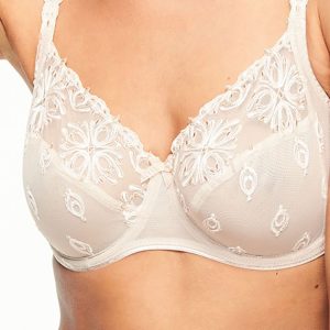 Underwire bras: Debunking the myths and finding your perfect fit